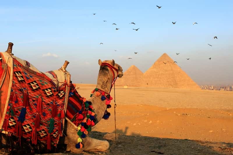Family Holidays in Egypt Explore
